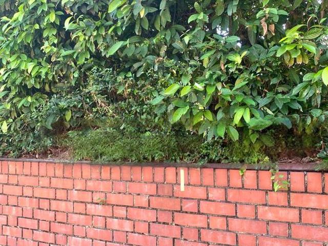 Detached House for sale
