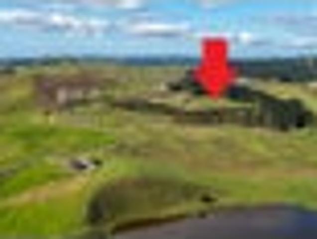 Land for sale in Northland