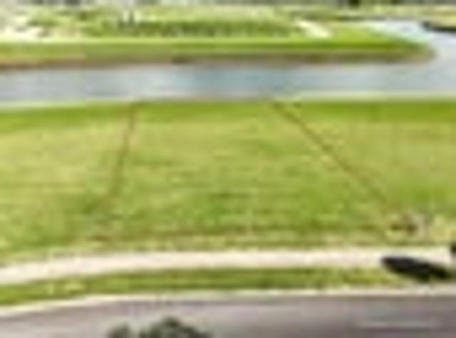 Land for sale in Whitianga, Waikato