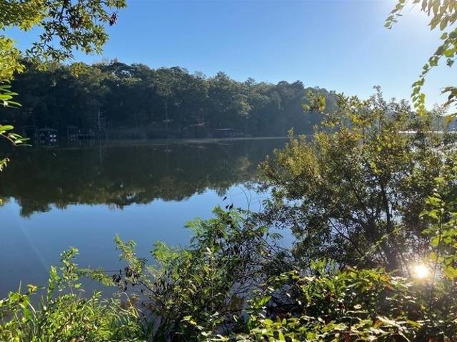 Land for sale in Andalusia, Alabama