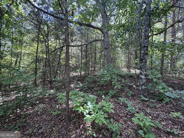 Land for sale in Toccoa, Georgia