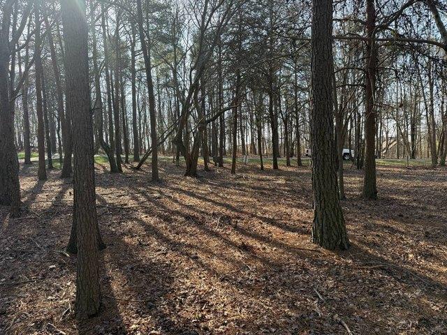 Land for sale in Rising Fawn, Georgia
