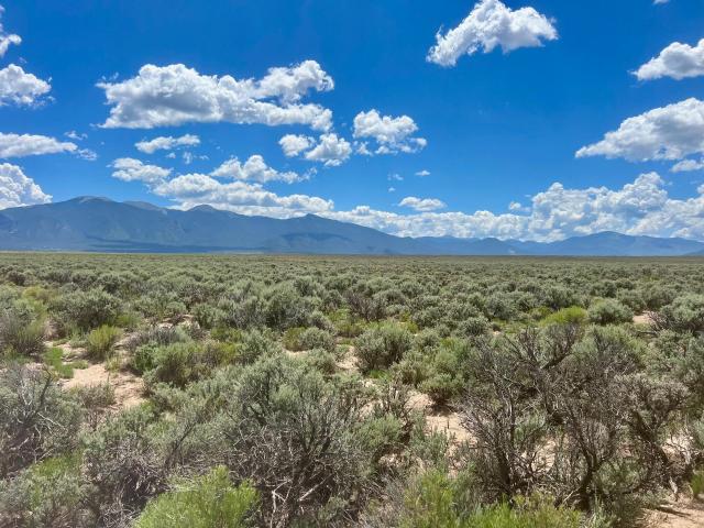 Land for sale in New Mexico