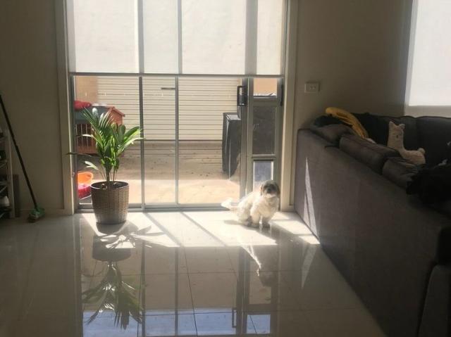 Room for rent in Camerons Creek, Victoria