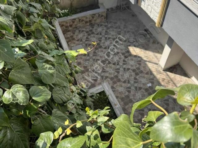 Bandirma, Balikesir içerisinde kiralık mülk