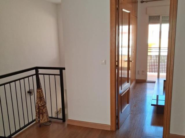 Casa en alquiler en Molina de Segura, Vega Media del Segura