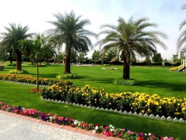 Land for sale in North Waziristan, Federally Administered Tribal Areas fata