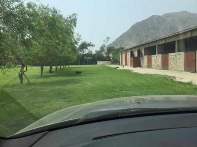 Super ocasión venta de terreno agrícola en Pachacamac