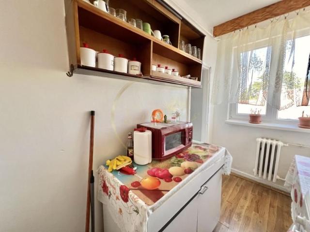 Apartament închirieri în Timisoara, Timiș