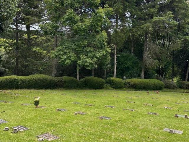 Terreno venda em Região Geográfica Imediata de Curitiba, Região Metropolitana de Curitiba