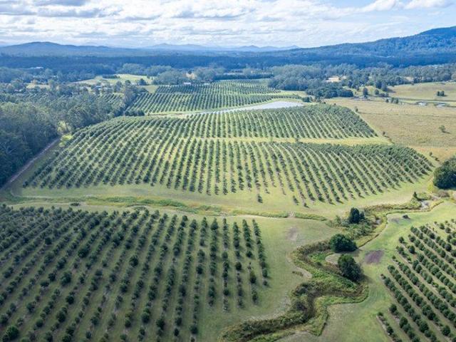Cottage for sale in Tamban, New South Wales