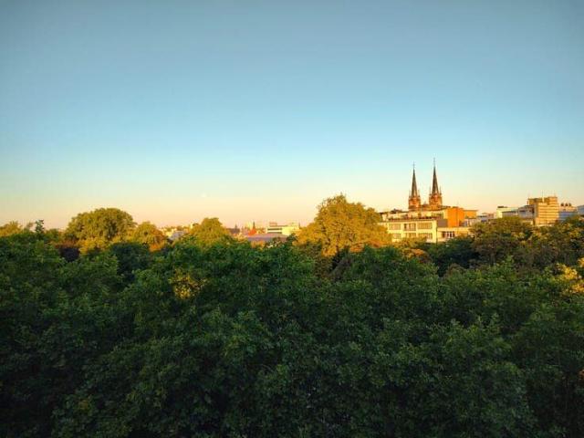 Kot location à Antwerpen