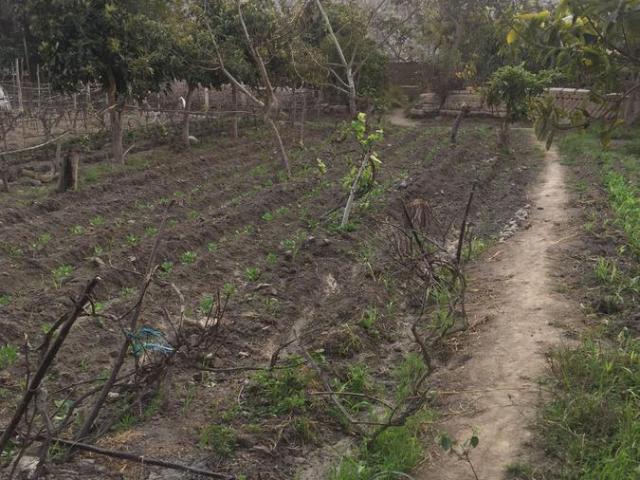 Terreno venta en Canete, Lima Metropolitana
