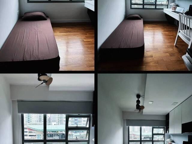 Room for rent