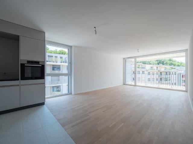 Apartment mieten in Vevey, Waadt