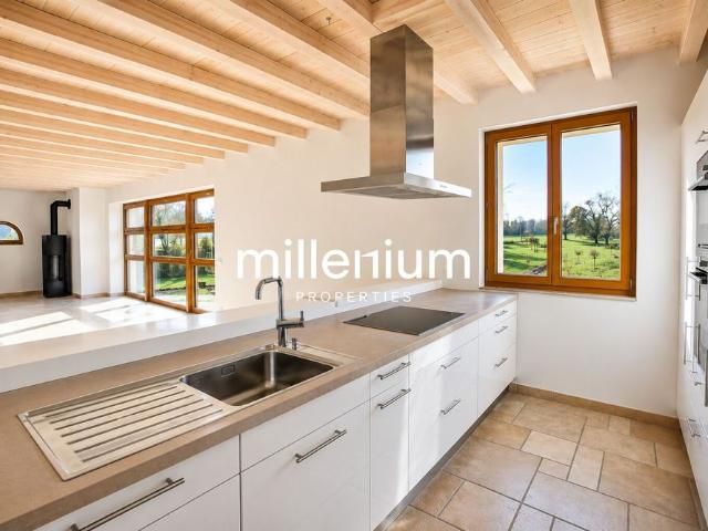 Apartment mieten in Cartigny