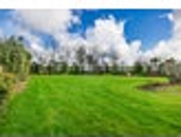 Land for sale in Karetu, Northland