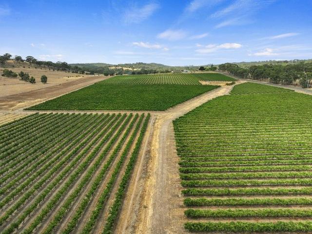 Cottage for sale in Clare, South Australia