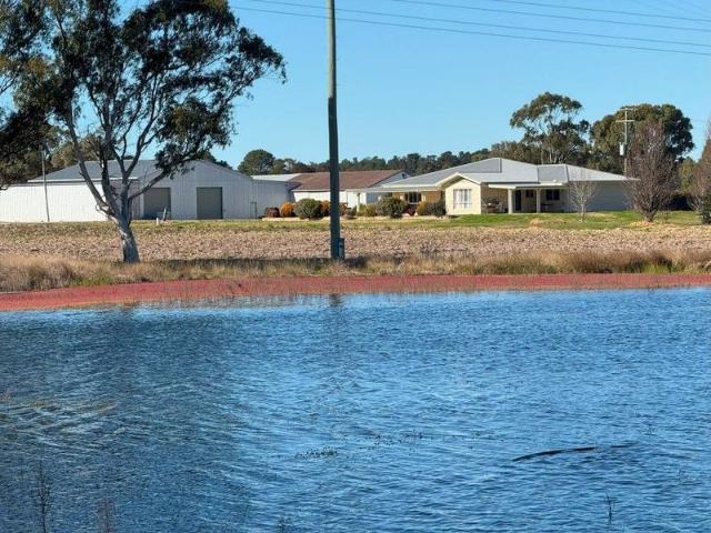 Cottage for sale in Cottonvale, Queensland