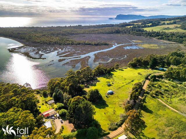 Property for sale in Simpsons Bay, Tasmania