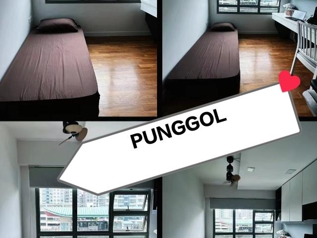 Room for rent