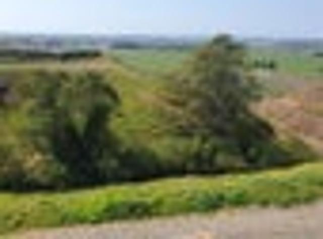Land for sale in Bay Of Plenty