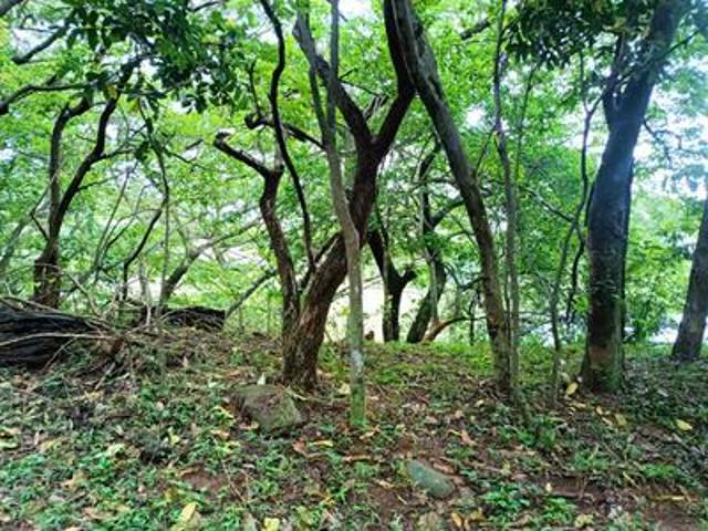 Land for sale in Ballito, KwaDukuza Local Municipality