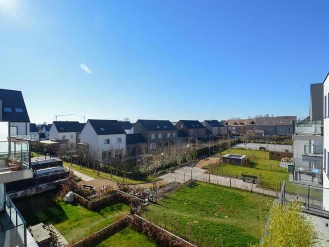 Kot location à Nijvel, Wallonie