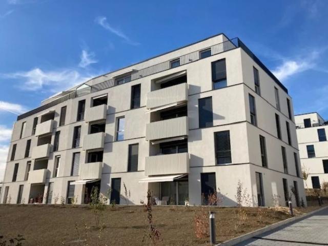 Apartment mieten in Waadt