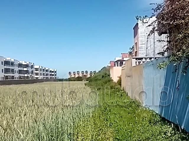 Appartement vente