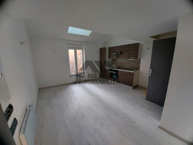 Appartement location à Nancy, Millery