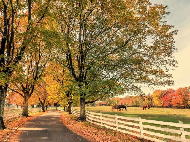 Maison vente à France métropolitaine, Martinique