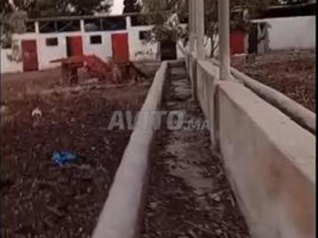 Propriété vente à Settat, Gharb-Chrarda-Beni Hssen