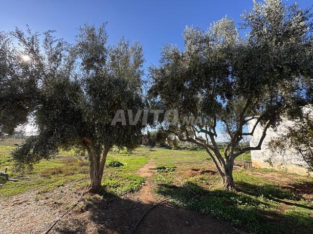 Propriété vente à Sidi Allal El Bahraoui