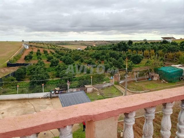 Propriété vente à Sidi Allal El Bahraoui