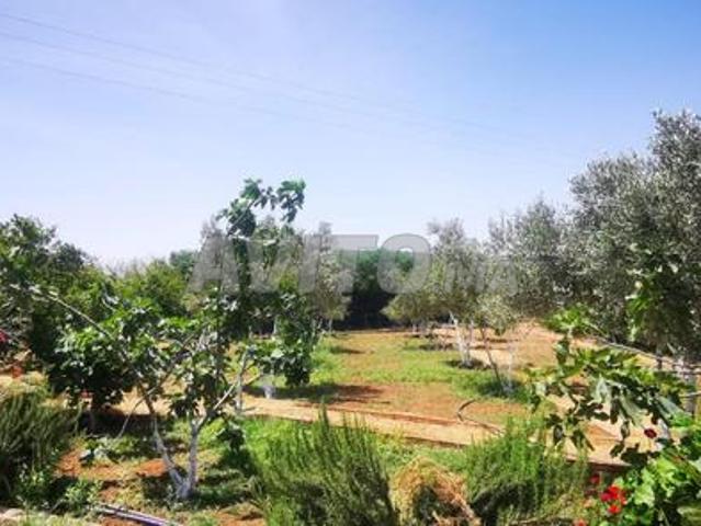 Propriété vente à El Ma, Gharb-Chrarda-Beni Hssen