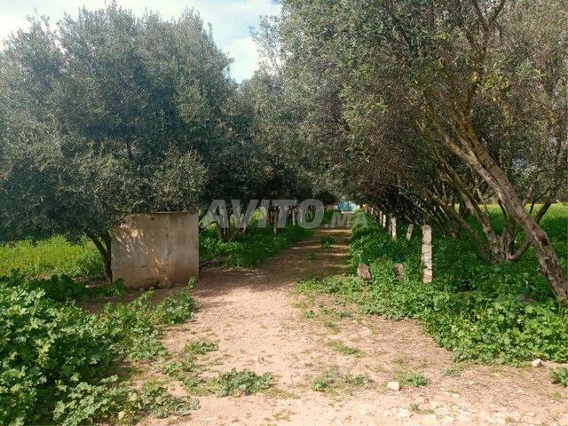 Propriété vente à Berrechid, Gharb-Chrarda-Beni Hssen