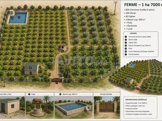 Propriété vente à Assilah, Tanger-Tétouan