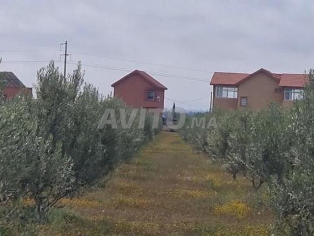 Propriété vente à Ben Slimane