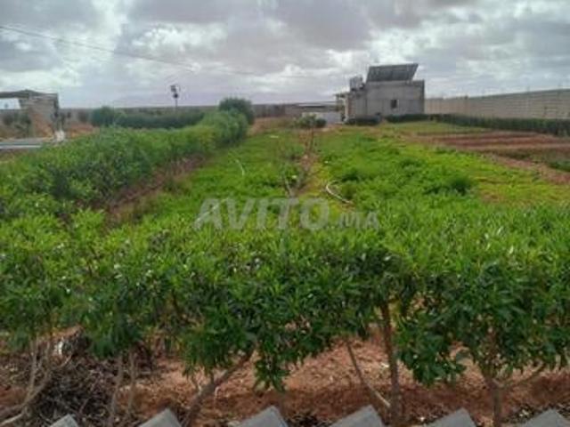 Propriété vente à Agadir, Oued ed Dahab-Lagouira
