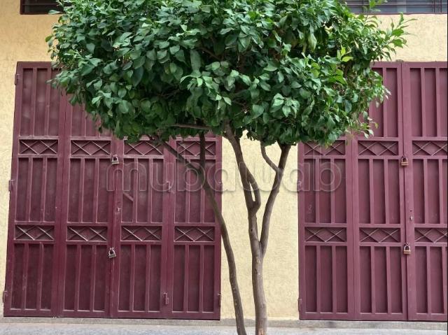Maison vente à Fès