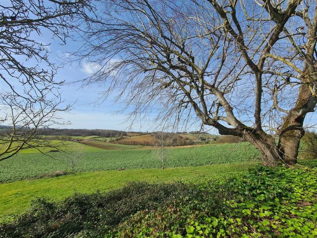 Maison vente à Villeneuve-sur-Lot, Monclar