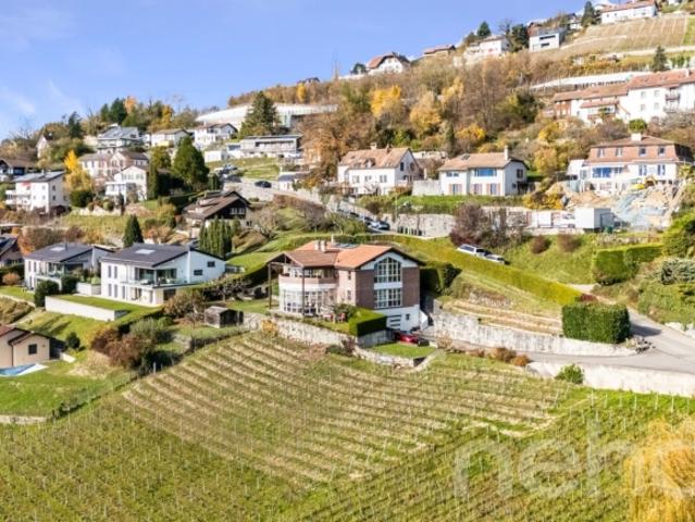 Einfamilienhaus kaufen in Bourg-en-Lavaux, Waadt