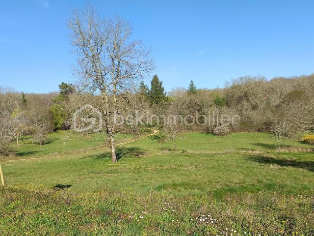 Terrain vente à Sarlat-la-Canéda, Tourtoirac