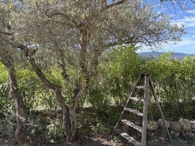 Maison vente à Brignoles, Carcès