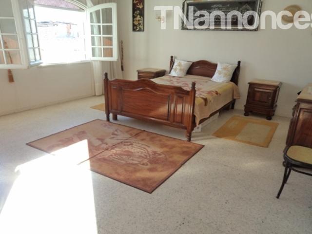 Appartement vente