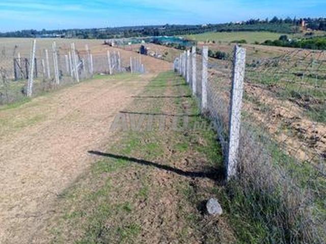 Propriété vente à Sidi Allal El Bahraoui