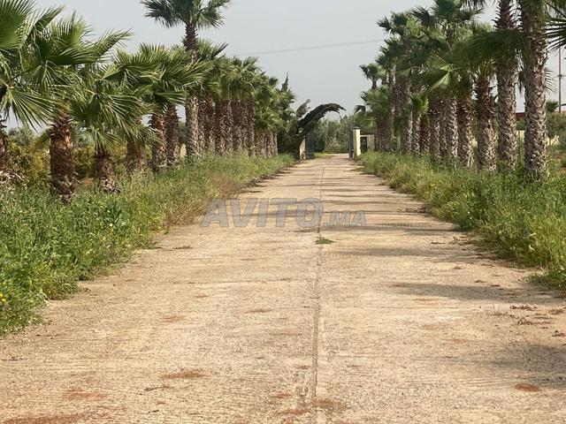 Propriété vente à Gharb-Chrarda-Beni Hssen