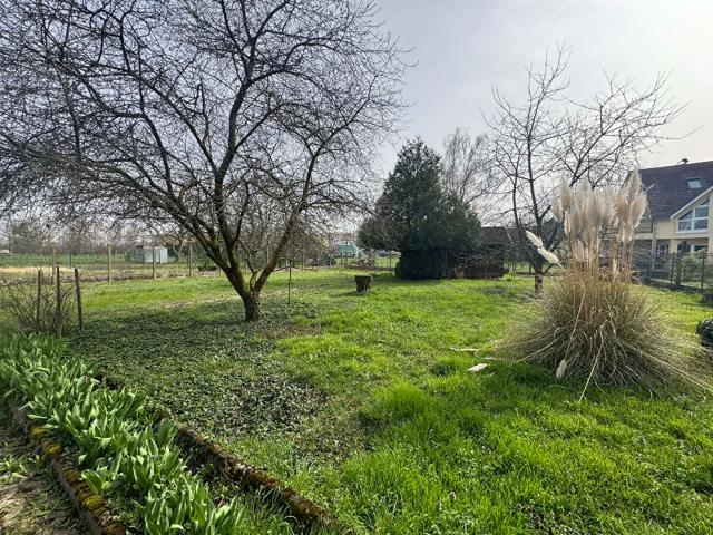 Terrain vente à Thann-Guebwiller, Gundolsheim