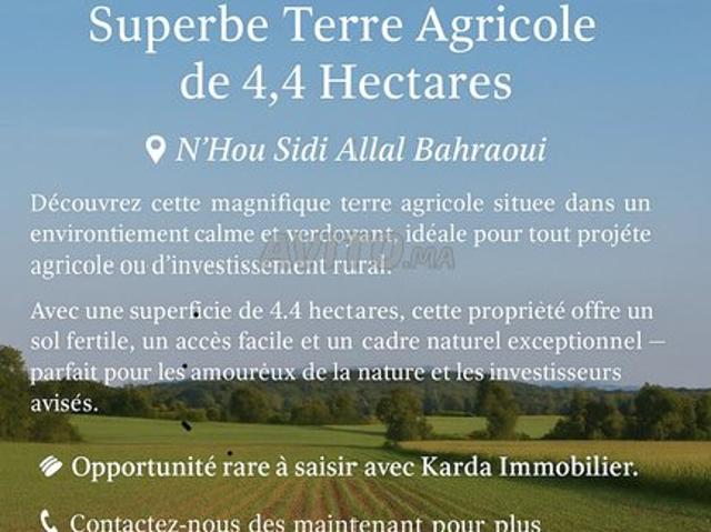 Propriété vente à Sidi Allal El Bahraoui